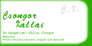 csongor kallai business card