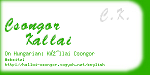 csongor kallai business card